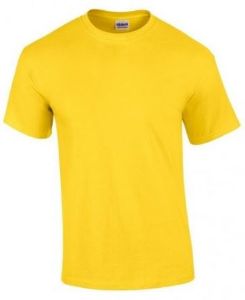 Afbeelding - 7619812-JPG